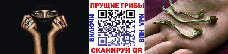 Галлюциногенные грибы ЛСД  магазин  наркотиков  Поворино 