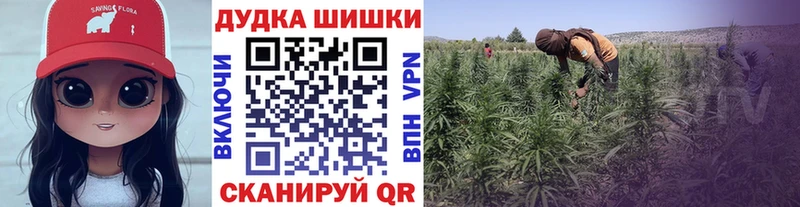 Марихуана гибрид нарко площадка как зайти Поворино